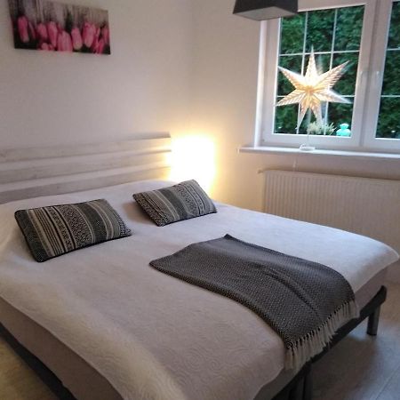 Mizerowka Guest House Kudowa-Zdrój Eksteriør billede