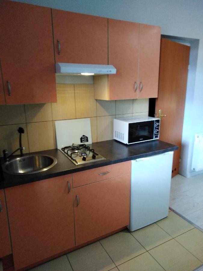 Mizerowka Guest House Kudowa-Zdrój Eksteriør billede