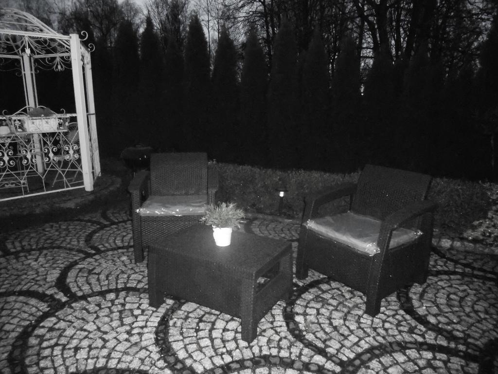 Mizerowka Guest House Kudowa-Zdrój Eksteriør billede